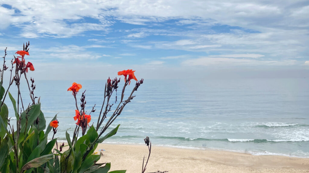 Varkala