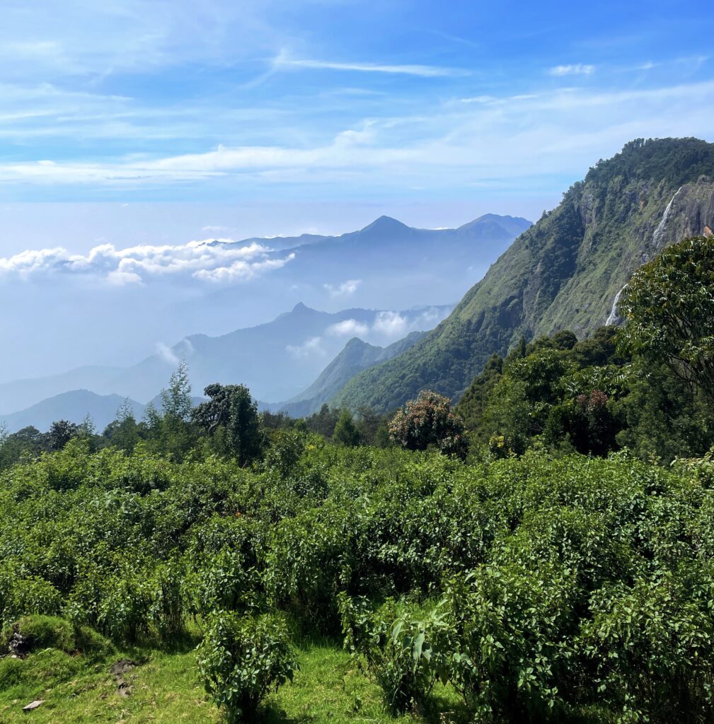 Green Valley View